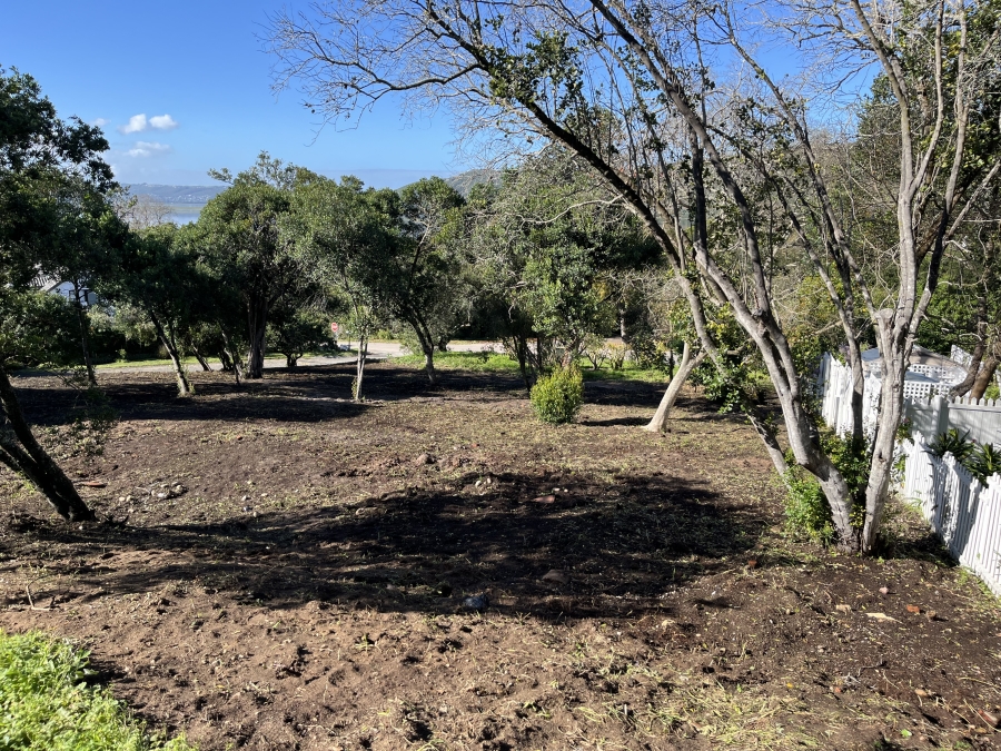 0 Bedroom Property for Sale in Belvidere Estate Western Cape